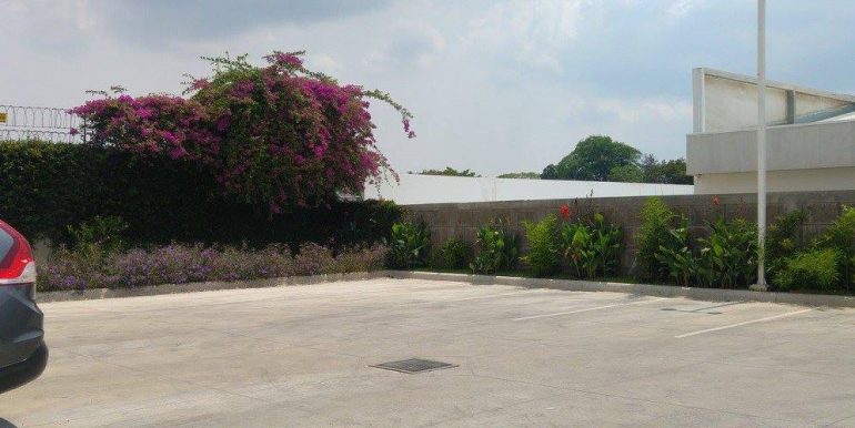 carretera-sur-kmc-bienes-raices-10323351-16