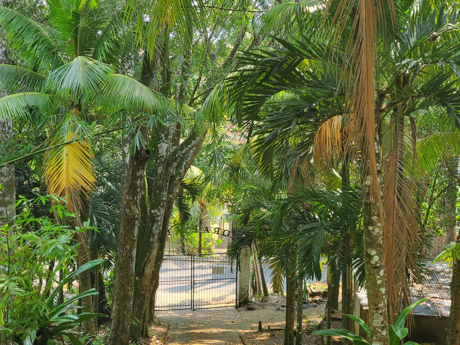 CARRETERA MANAGUA -CATARINA. HERMOSA FINCA DE 9.52 MANZANAS EN VENTA